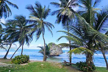 Barbados Private Island Tour: A Fully Customizable Experience