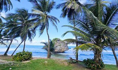 Barbados: Private Island Tour - A Fully Customizable Experience