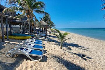 Tour to Edzna and Tortugas Bay