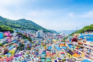 Busan Hidden Gems Beaches and Local Food Private Tour