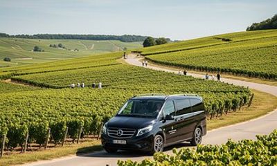 Private Tour in Dijon with your Official Tour Guide