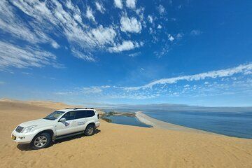Walvis Bay: Sandwich Harbour Full Day 4x4, Flamingos, Seals & Fun
