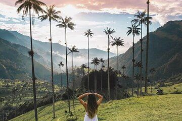 2-Day Tour at the Salento Cocora Thermal Coffee Shop