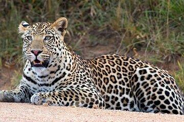 Private day Trip to Nakuru National Park