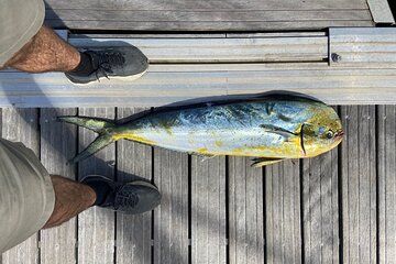 Sea Fishing Experience in the Bay of Biscay