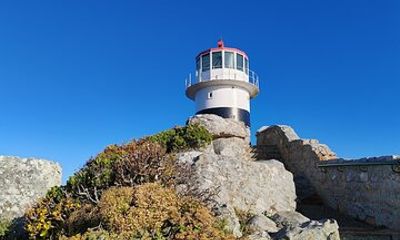 Cape of Good Hope and Penguins Private Tour in Cape Town