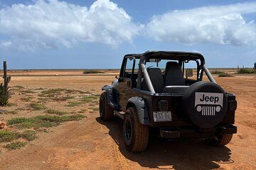 Curacao Private Jeep Off-Road Tour to Swimming with Sea Turtles