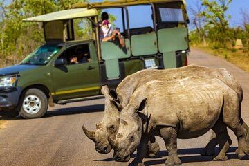 Kruger National Park 3 Day Small Group Safari from Johannesburg