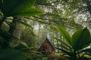 Green Paradise Mtirala and Botanical Garden Experience