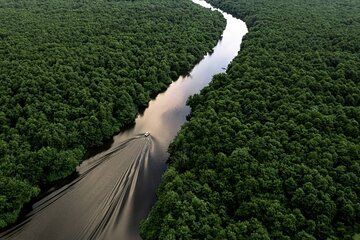 Discover the Georgian Amazon – Tour from Batumi