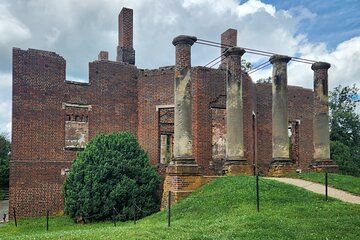 Wine and Culinary Delight Private Tour