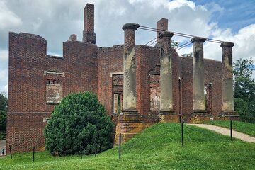 Private Charlottesville Area Wine Tour