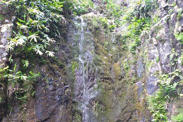 Half Tour on the Island of Flowers – D. JuliaTours