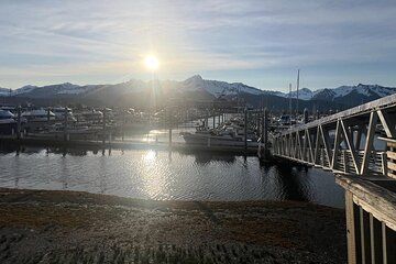 Up to 10 Person Seward to Anchorage Cruise Ship Transfer