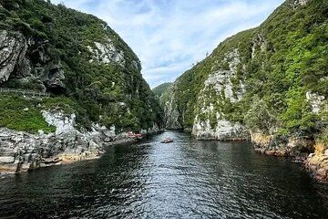 Tsitsikama National Park Day Tour from Port Elizabeth