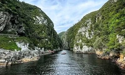 Tsitsikama National Park Day Tour from Port Elizabeth