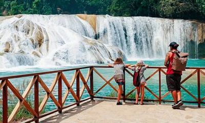 From Palenque : From Mayan Temples to Holy Waters