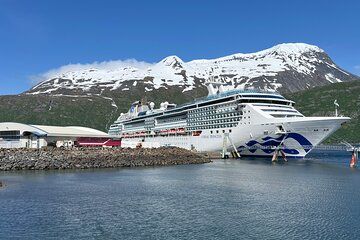 Seward to Anchorage Cruise Ship Transfer, Up to 10 Person