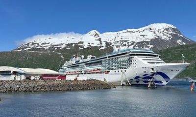 Seward to Anchorage Cruise Ship Transfer, Up to 10 Person