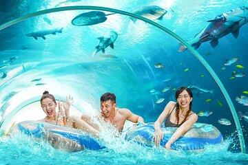 Adventure Cove Waterpark Tickets