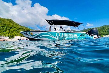 Speed Boat Dolphins and Turtles Full Day