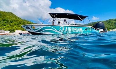 Speed Boat Dolphins and Turtles Full Day