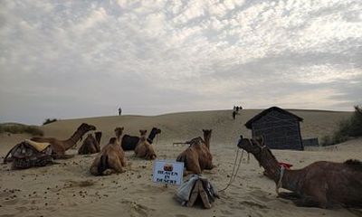 Camel Safari Campfire Dinner and Stargazing