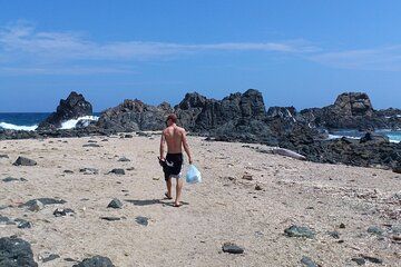 Aruba Highlights 7 Days and 6 Nights