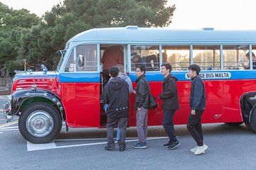 Half Day Tour of Marsaxlokk Blue Grotto Dingli Cliffs and Mdina