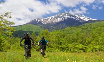 Japan Alps Norikura E Mountain Bike Tour Half Day or Full Day