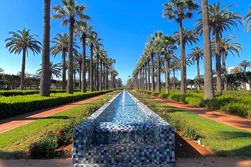 Casablanca Layover Tour Hassan Mosque Corniche from CMN Airport