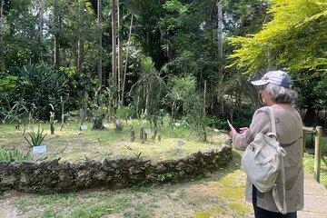 Adventure in Turbaco and botanical garden in Cartagena