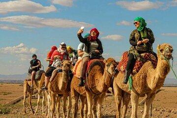 Marrakech: Camel Ride & Dinner or Magical Night in Agafay Desert