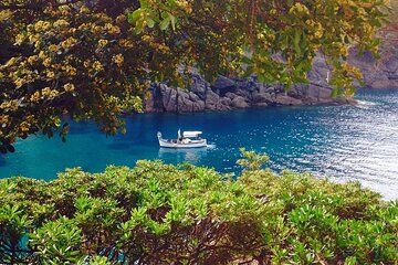 the best way to discover the Portofino marine protected area