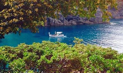 the best way to discover the Portofino marine protected area
