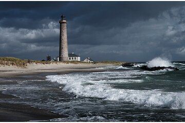 Skagen Private Tour from Cruise Port