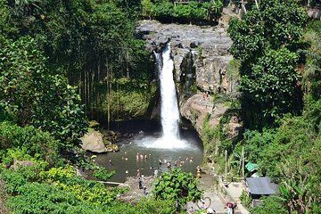 Private Ubud Full Day Tour All Inclusive