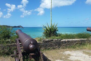 Antigua Harbour Bus Tour Experience