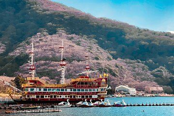 Hakone Full-Day Private Tour Hotel Pickup and Highlights