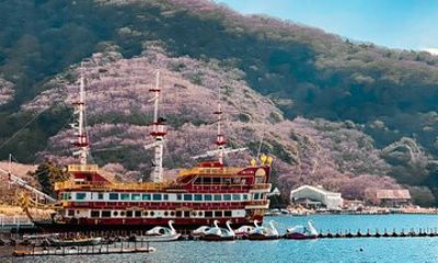 Only 1 Group per Day – Hakone Private Tour with Hotel Pickup