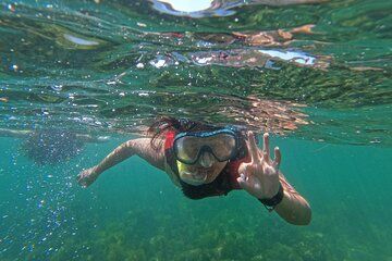 Lisbon: Snorkelling in the Prof Luiz Saldanha Marine Reserve