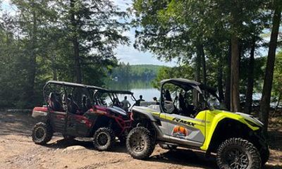 Guided UTV Tours