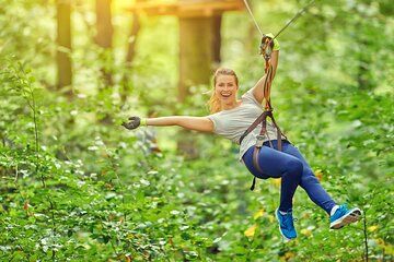High Ropes and Adventure Tree Top Experience