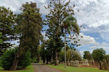 Cemetree Tour, Roots of Toowoomba's History from Harristown