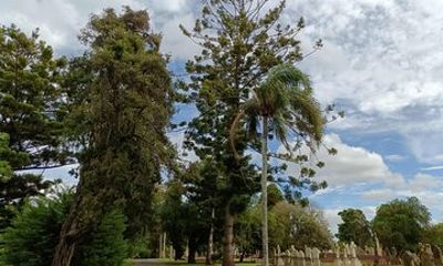 Cemetree Tour, Roots of Toowoomba's History from Harristown