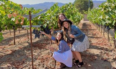 Sonoma Private 6-Hour Wine Adventure