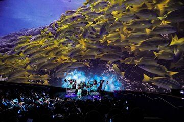 Mele: The Hawaiian Music Experience