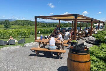 Experience île d'Orléans and the falls with a local guide