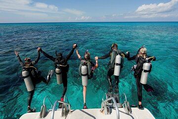Hurghada - Professional Diving, 2 Dives, Lunch and Transfer