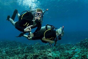 Marsa Mubarak Snorkeling Sea Trip & 2 Intro Dives :Marsa Alam